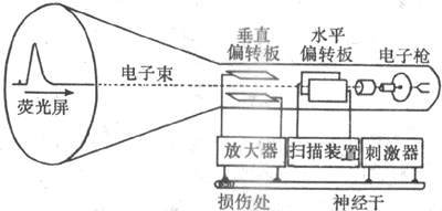 ʾй豸۲Ļʵ鲼