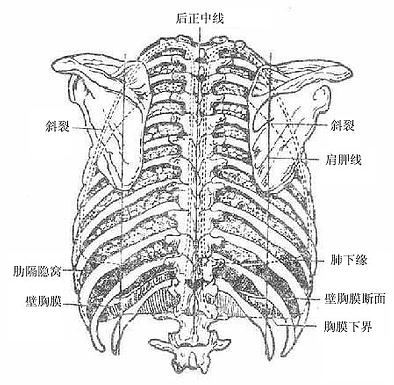 μĤͶӰ棩